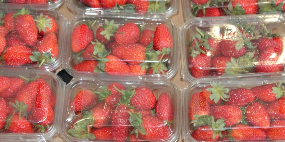 Approvato il regolamento imballaggi, per l'ortofrutta la strada è in salita